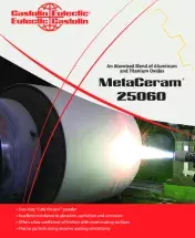 MetaCeram-25060.pdf